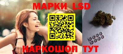 2c-b Камышлов