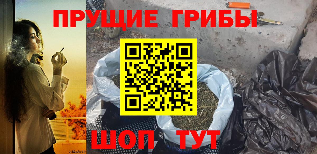 Лесозаводск  Псилоцибиновые грибы Cubensis  Вход с VPN 